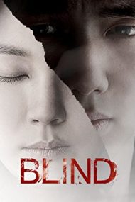 Blind – În întuneric (2011)