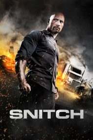 Snitch – Capcana (2013)