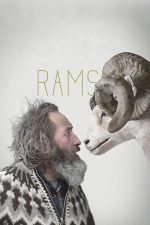 Rams – Despre oameni și oi (2015)