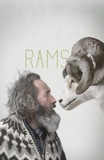 Rams – Despre oameni și oi (2015)