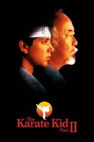 The Karate Kid 2 (1986)