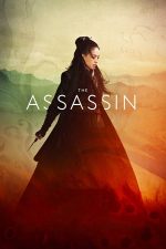 The Assassin – Asasinul (2015)