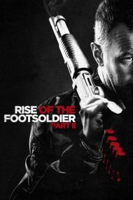 Rise of the Footsoldier Part 2 (2015)