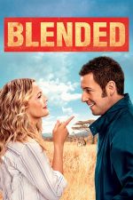 Blended – Din greșeală împreună (2014)