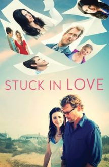 Stuck in Love – Îndrăgostiți (2012)