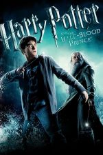 Harry Potter and the Half-Blood Prince – Harry Potter și Prințul Semipur (2009)