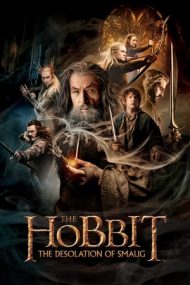 The Hobbit: The Desolation of Smaug – Hobbitul: Dezolarea lui Smaug (2013)