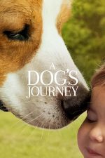 A Dog’s Journey – Câinele, adevăratul meu prieten 2 (2019)