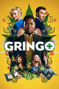 Gringo – Amator în misiune (2018)