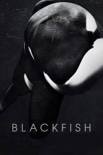 Blackfish – Balena ucigașă (2013)