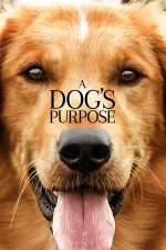 A Dog’s Purpose – Câinele, adevăratul meu prieten (2017)
