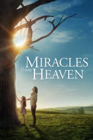 Miracles from Heaven – Miracole din Paradis (2016)