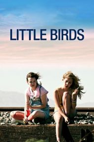 Little Birds – Când prinzi aripi (2011)