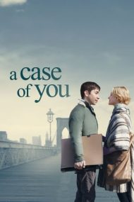 A Case of You – Profilul perfect (2013)