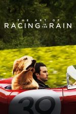 The Art of Racing in the Rain – Povestea incredibilă a lui Enzo (2019)
