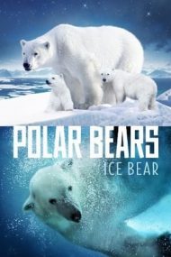 Polar Bears: Ice Bear (2013)