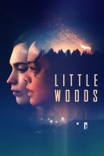 Little Woods – Împotriva legii (2018)