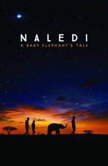 Naledi: A Baby Elephant’s Tale (2016)