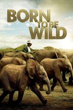 Born to Be Wild – Născuți pentru a fi liberi (2011)