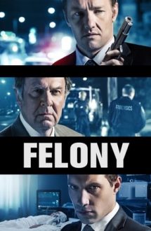 Felony – Secretul unei crime (2013)