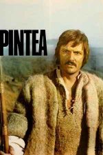 Pintea (1976)