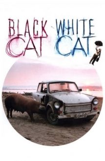 Black Cat, White Cat – Pisica albă, pisica neagră (1998)