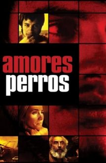 Amores Perros – Iubiri și câini (2000)