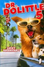 Dr. Dolittle: Million Dollar Mutts – Doctor Dolittle: Aventură la Hollywood (2009)