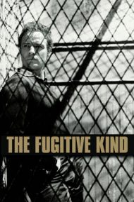 The Fugitive Kind – Orfeu în infern (1960)