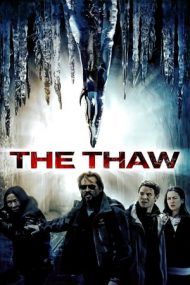 The Thaw – Viermele arctic (2009)