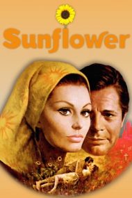 Sunflower – Floarea-soarelui (1970)