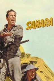 Sahara – Frăția Saharei (1943)