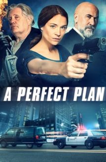 A Perfect Plan (2020)