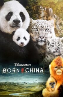 Born in China – Născut în China (2016)