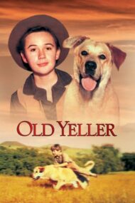Old Yeller – Un prieten adevărat (1957)