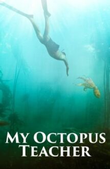 My Octopus Teacher – Înțelepciunea caracatiței (2020)