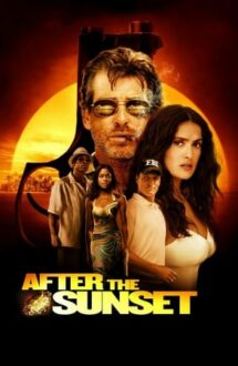 After the Sunset – Hoț de diamante (2004)