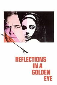 Reflections in a Golden Eye – Imagini într-un ochi de aur (1967)