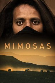 Mimosas – Mimoze (2016)