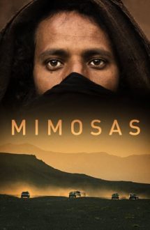 Mimosas – Mimoze (2016)