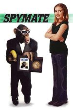 Spymate – Un spion și jumătat (2003)