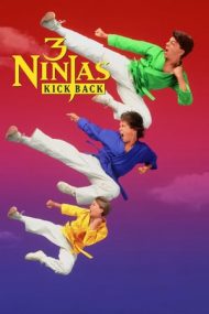 3 Ninjas Kick Back – Cei trei Ninja lovesc din nou (1994)