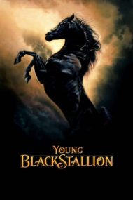 The Young Black Stallion – Legenda armăsarului negru (2003)