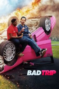 Bad Trip – Călătorie cu surprize (2020)