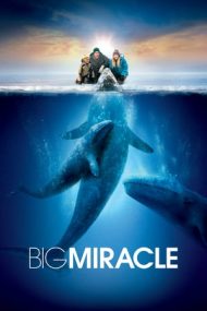 Big Miracle – Misiune de salvare (2012)