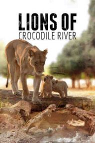 Lions of Crocodile River (2007)