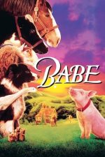 Babe – Cel mai curajos porc din lume (1995)