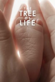 The Tree of Life – Pomul vieții (2011)