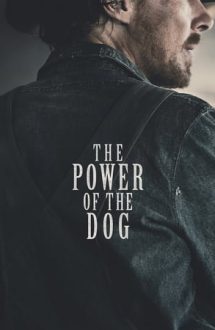 The Power of the Dog – În ghearele câinilor (2021)