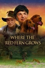 Where the Red Fern Grows – Prietenii copilăriei mele (2003)